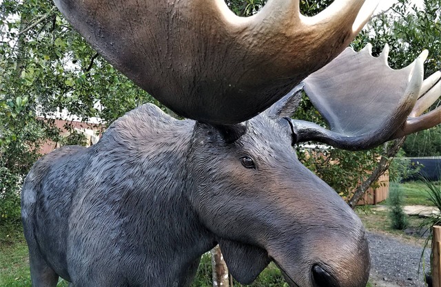 ★Moose Haven Cabin★ Garden & Hiking Trail ★