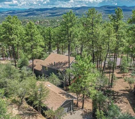 Mountain Cabin Retreat in the Pines