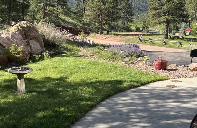 Mountain Glen Vista - incredible Pikes Peak view! License # 331228