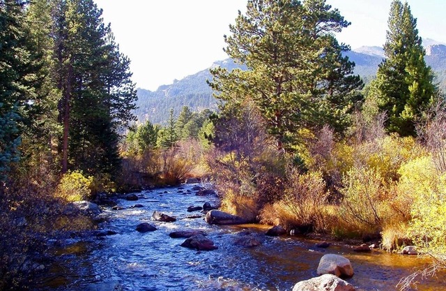 Mountain Masterpiece - Beautiful Cabin On 2.2 Acres At Wildbasin 3 Bedroom Cabin
