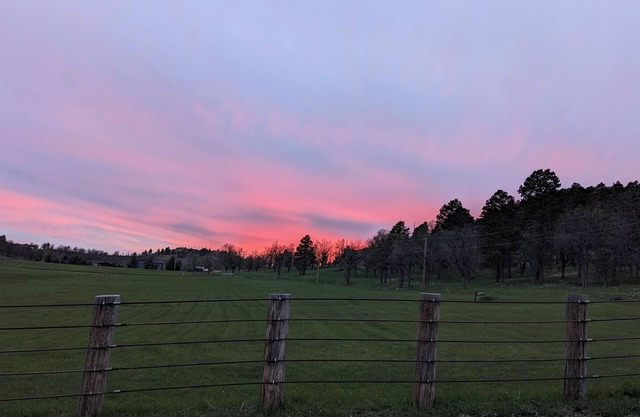 Mountain Meadows Homestead/Hidden Gem Near Deadwood