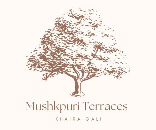 Mushkpuri Terraces - Khaira Gali