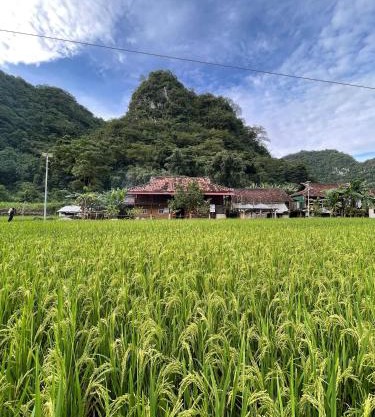 Nùng An homestay-Motorbike Taxi