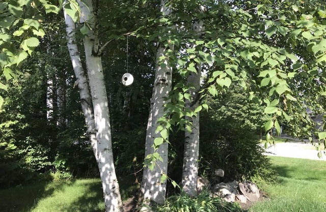 Nanny's Place - Summer Home In The Heart Of The Historic Village Of Bayfield