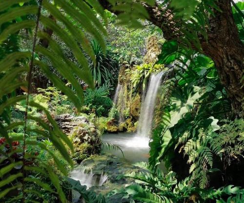 Natural Place