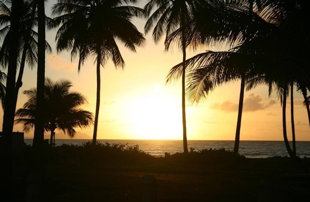 NATURE LOVER'S ESCAPE!-on 3200 acre reserve with miles of a "Cast A Way" beach.