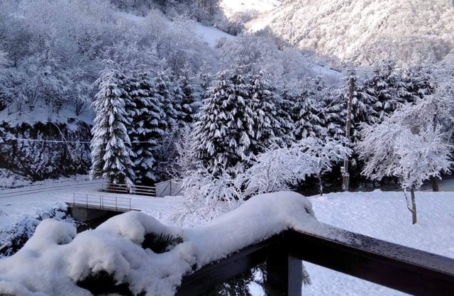 Nature View