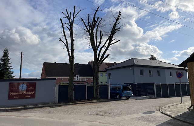 Neues Modernes Ferienhaus Deichgraf in der Uckermark ,mit 2 Kompl. Wohnungen