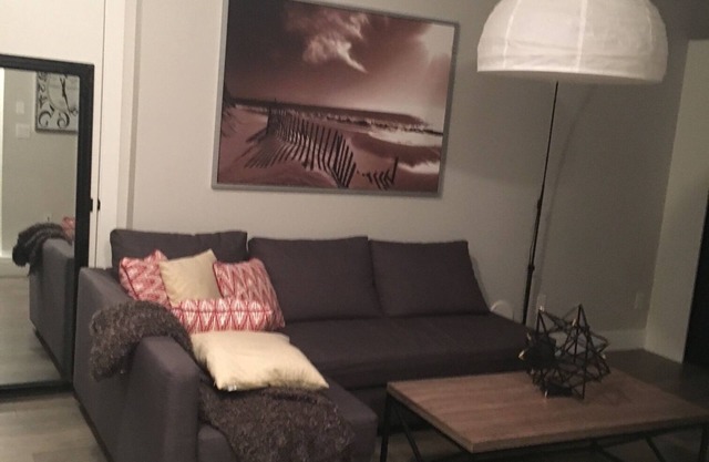 New and Cozy 2 bedrooms suite