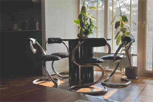 New appartment with art collection