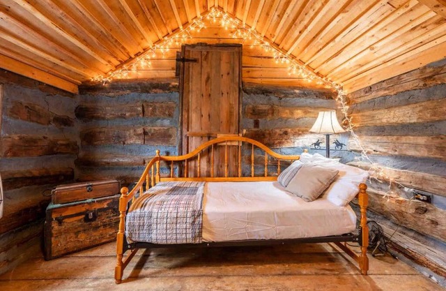 New! Charming Cabin in Colorado National Forest