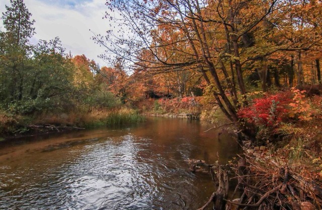 NEW! Cozy 3-bedroom 2-bath, 175 ft on Betsie River, 1 mile to Crystal Mountain