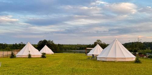 New Generation Camp