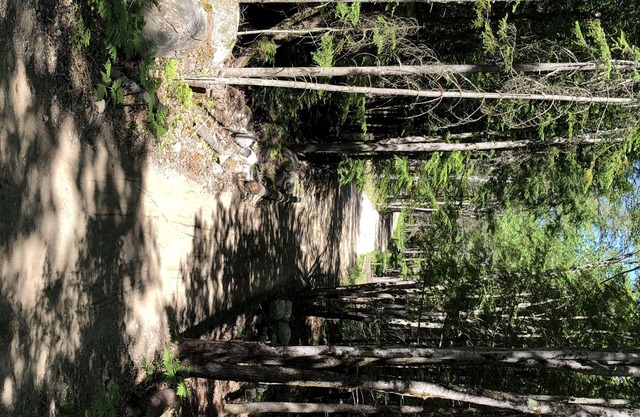 New Gloustria Campsites