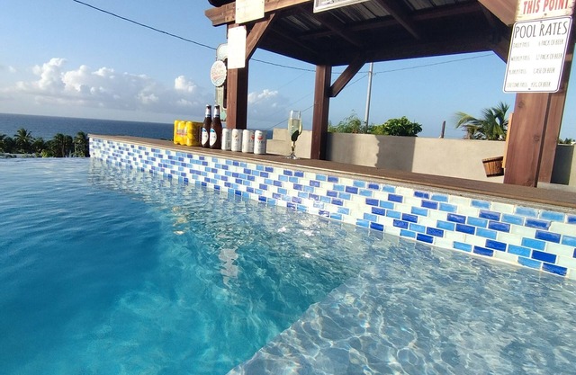 NEW PRIVATE INFINITY POOL , Ocen view , walk to beach + 2 jacuzzi.