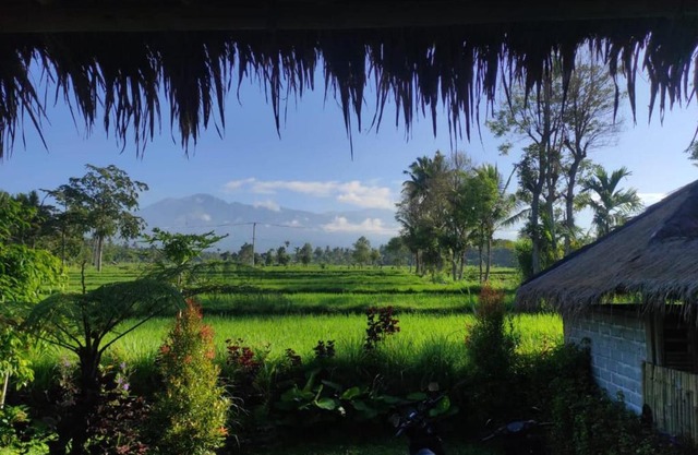 New Rinjani Homestay