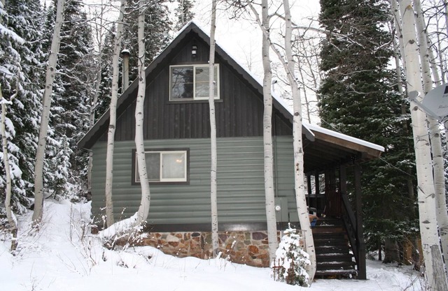 New! Secluded Cabin w/Hot Tub, close to Solitude & Brighton Ski Resorts