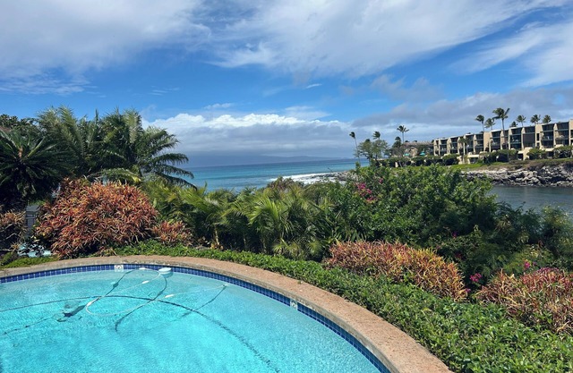 Newly Renovated 3 BR, 3.5 Bath Oceanfront Estate with Pool, Spa, A/C and Turtles