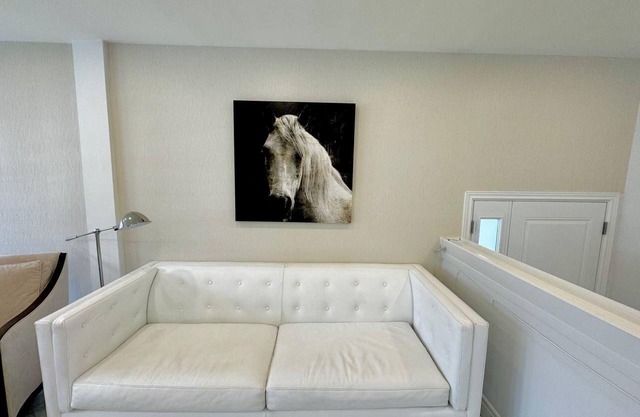 Newly Renovated House in Toronto