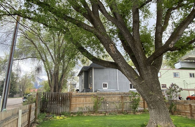 Newly Restored 2Bedrm, CoolCarbCrib, InTown Convenience, Fenced Yd, Dogs Welcome