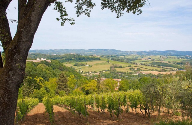Nice apartment in Castel San Gimignano