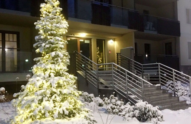 Nice apartment for 4 guests with WIFI, TV, balcony, pets allowed, panoramic view and parking
