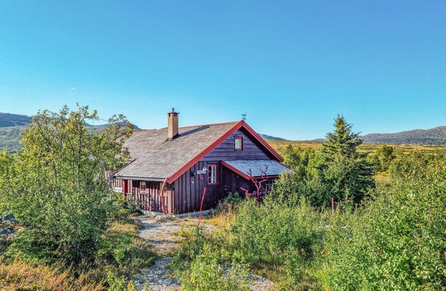 Nice home in Hovden i Setesdalen