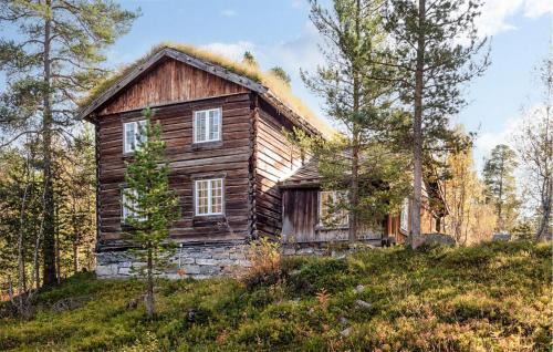 Nice Home In Bjorli With Wifi