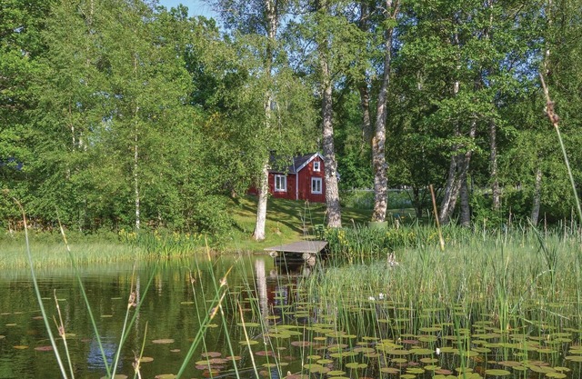 Nice home in Holmsjö with lake view