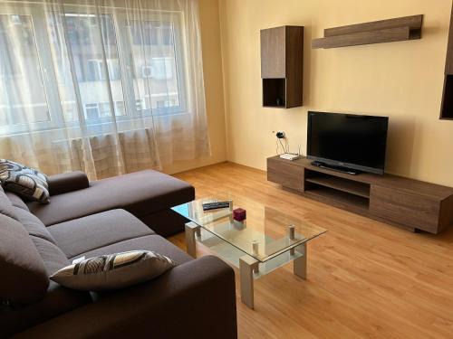 Nice, Spacious and Cozy Apartment