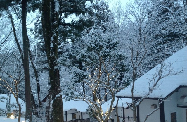 Nikko/Cottage/100MinFromCity/NearStation