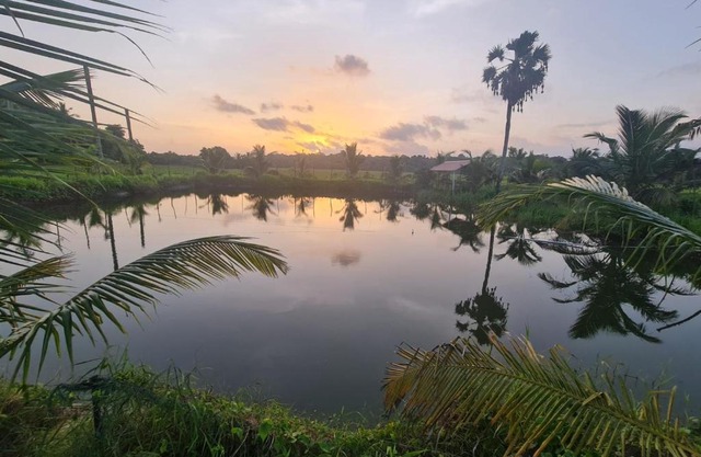 Nila Organica Farm Stay