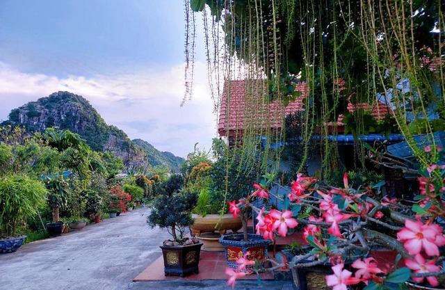 Ninh Binh Green Farmstay
