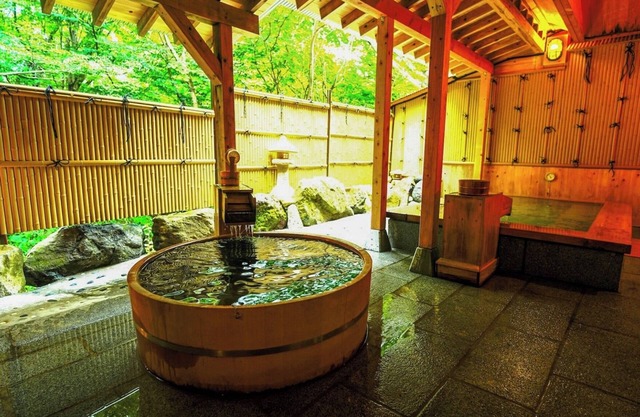 Nonsmoking Luxury 2 meals included Opening commemorative price/Nasugun Tochigi