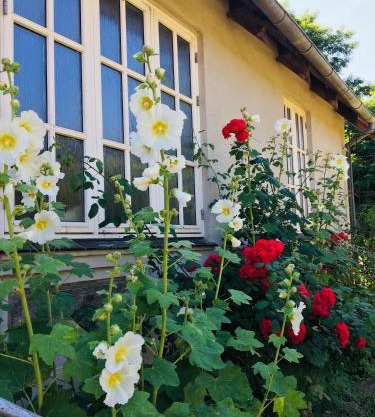 NordsoeHousing-Rørby