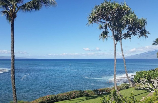 NP B28 March price drop! 1BR gorgeous, private spot, full AC, well stocked