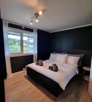 Nyoppusset leilighet nær Aker og sentrum