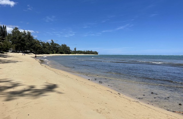 Oahu North Shore Ocean Views with Parking
