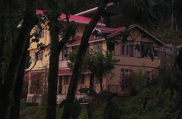 Oak Valley Retreat – A Cozy Homestay, Lively Hostel & Vibrant Café in the Hills!