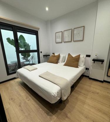 Oasis Pavia 15