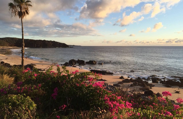 Ocean view fully equipped condo rental/Car for additonal price