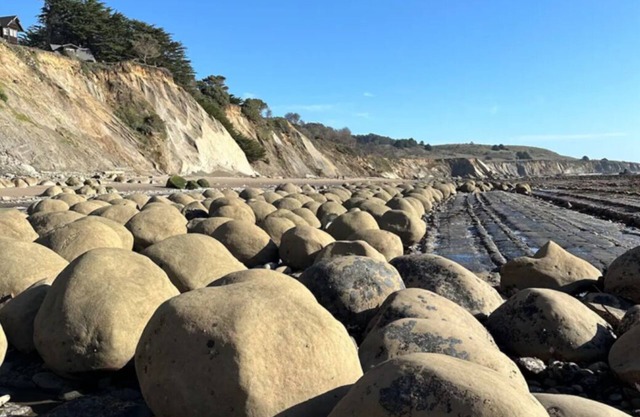 Ocean Waves crashing Surrounded by Redwoods, pet friendly! Welcome Home.
