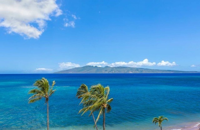 OCEANFRONT BR/1BA with BREATHTAKING VIEWS! nParadise Found!