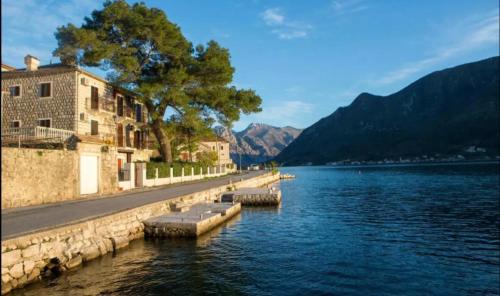 Old Pine Perast