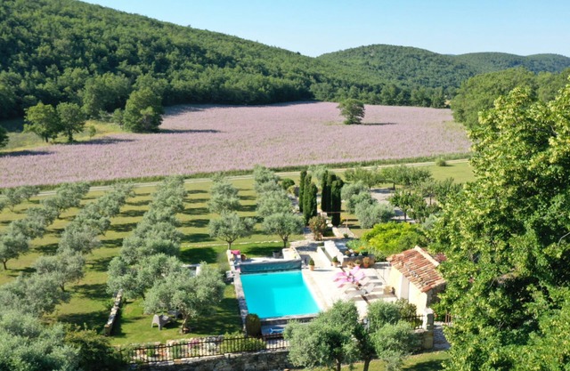Old sheepfold of the 18th restored with great taste in the middle of lavender