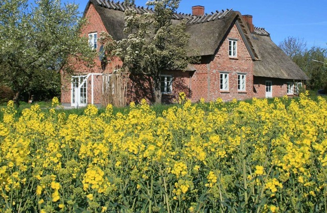 Old Shoemaker's House - Holiday House Old Shoemaker's House