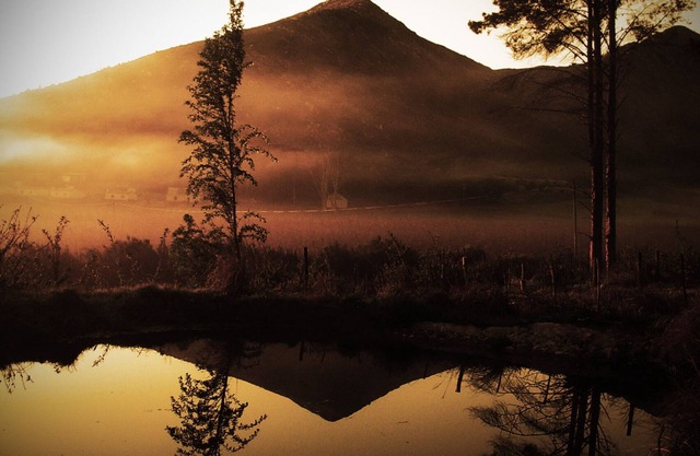 Old world, farmstyle, selfsufficient, off the grid, quiet and isolated