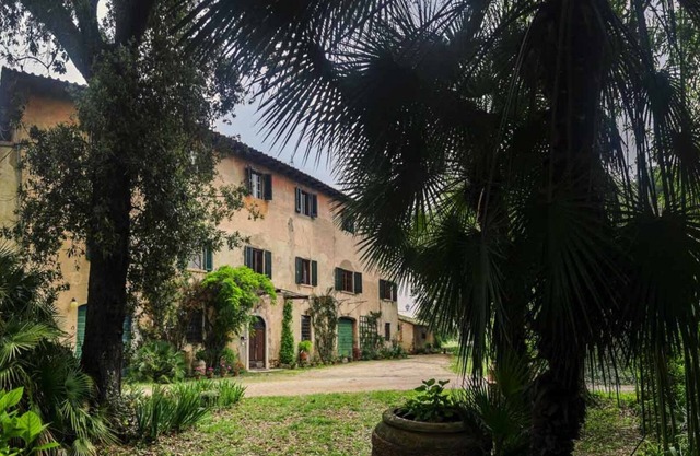 Olive Tree Suite Apartment