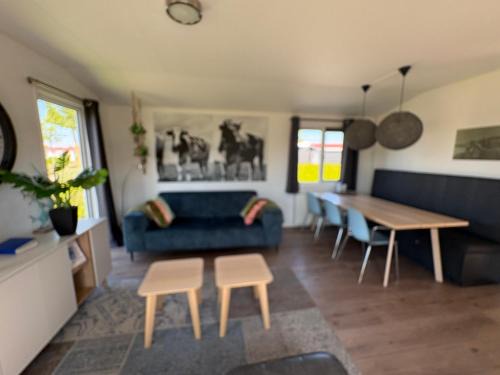 Olmenduin | Chalet 26 | Zeeland