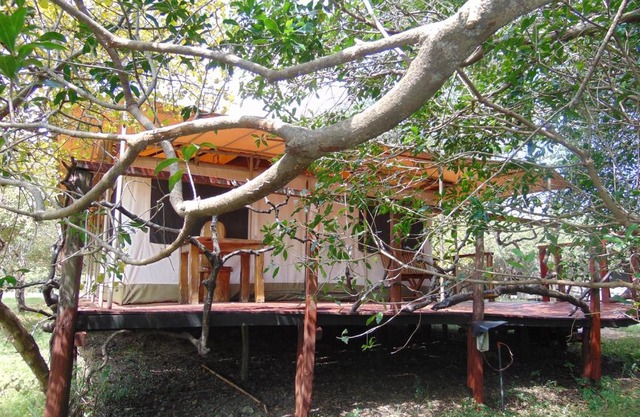 Olumara Tented Camp